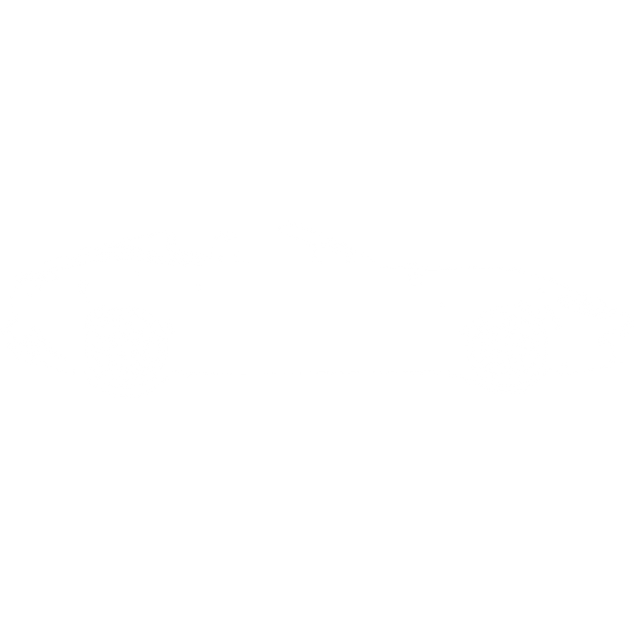 Automotive Detailing