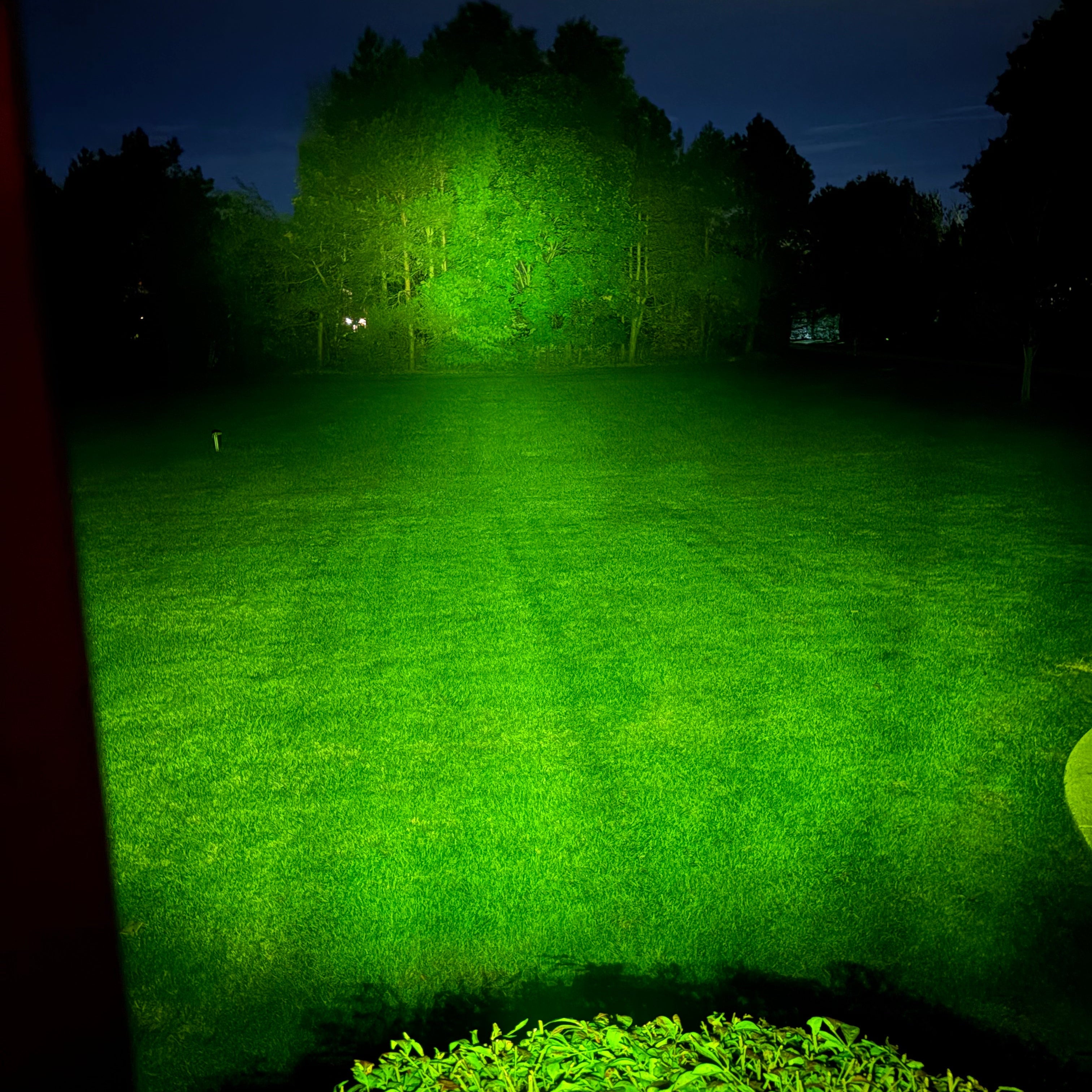 Green lawn illuminated by a spotlight at night with trees in the background.